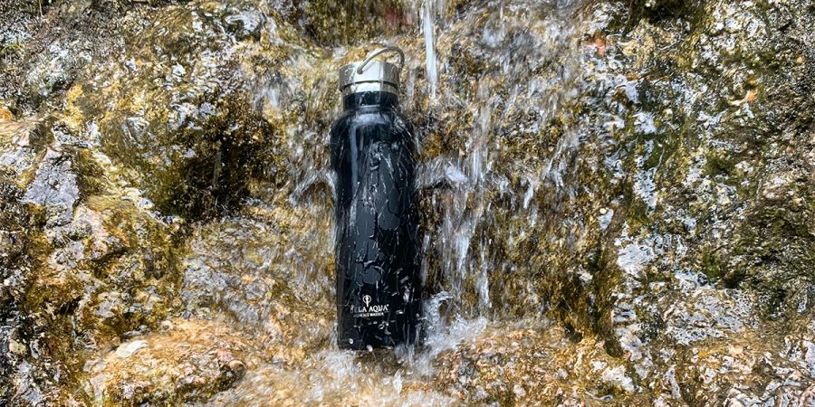 Wasser Lebenswichtig